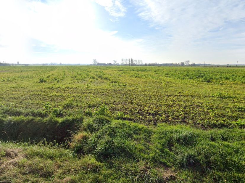 Ruim perceel landbouwgrond LOT 1   40015,8 m²&lt;br /&gt;
Locatie:&lt;br /&gt;
Het perceel is uiterst rustig gelegen aan de Waaienburgseweg aan huisnummer 42 tuss